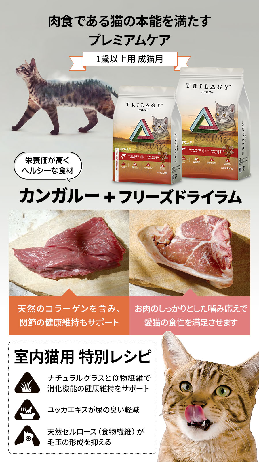 カンガルー＋ラムフリーズドライ