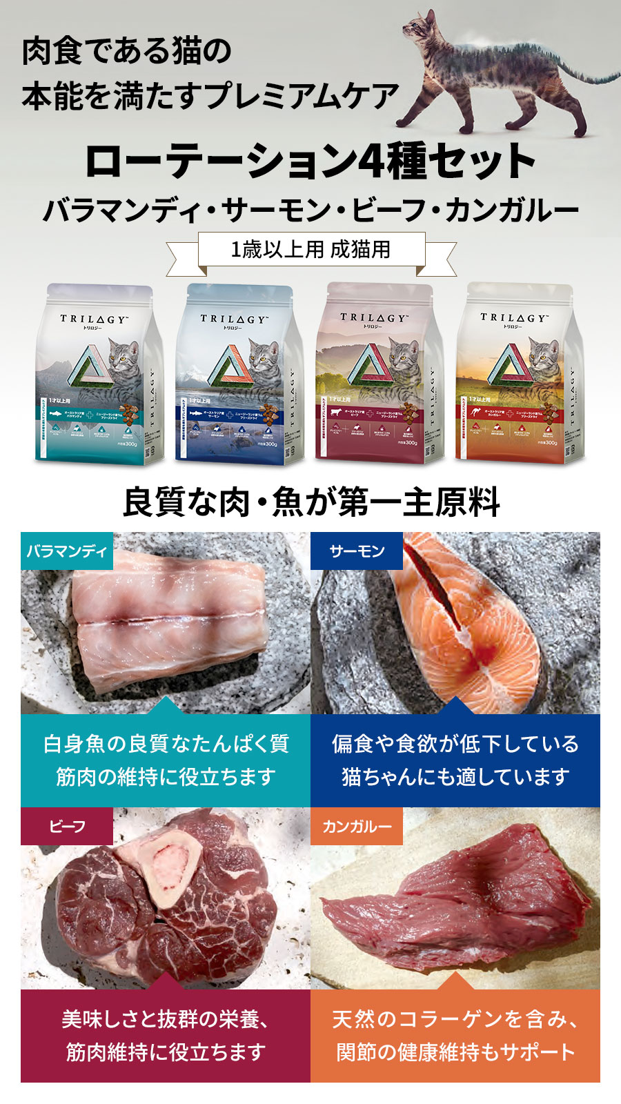 ローテーションセット