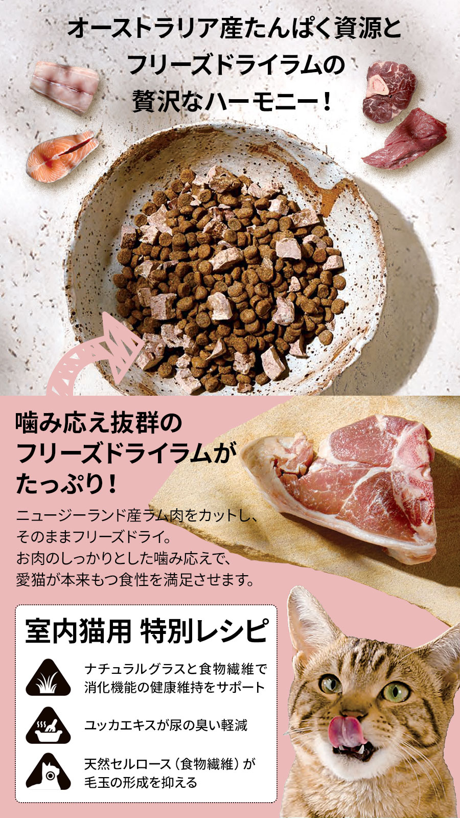ローテーションセット