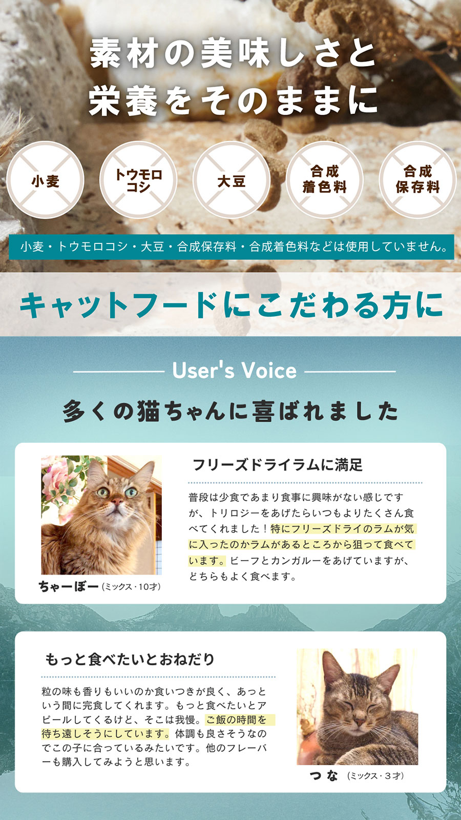 ローテーションセット