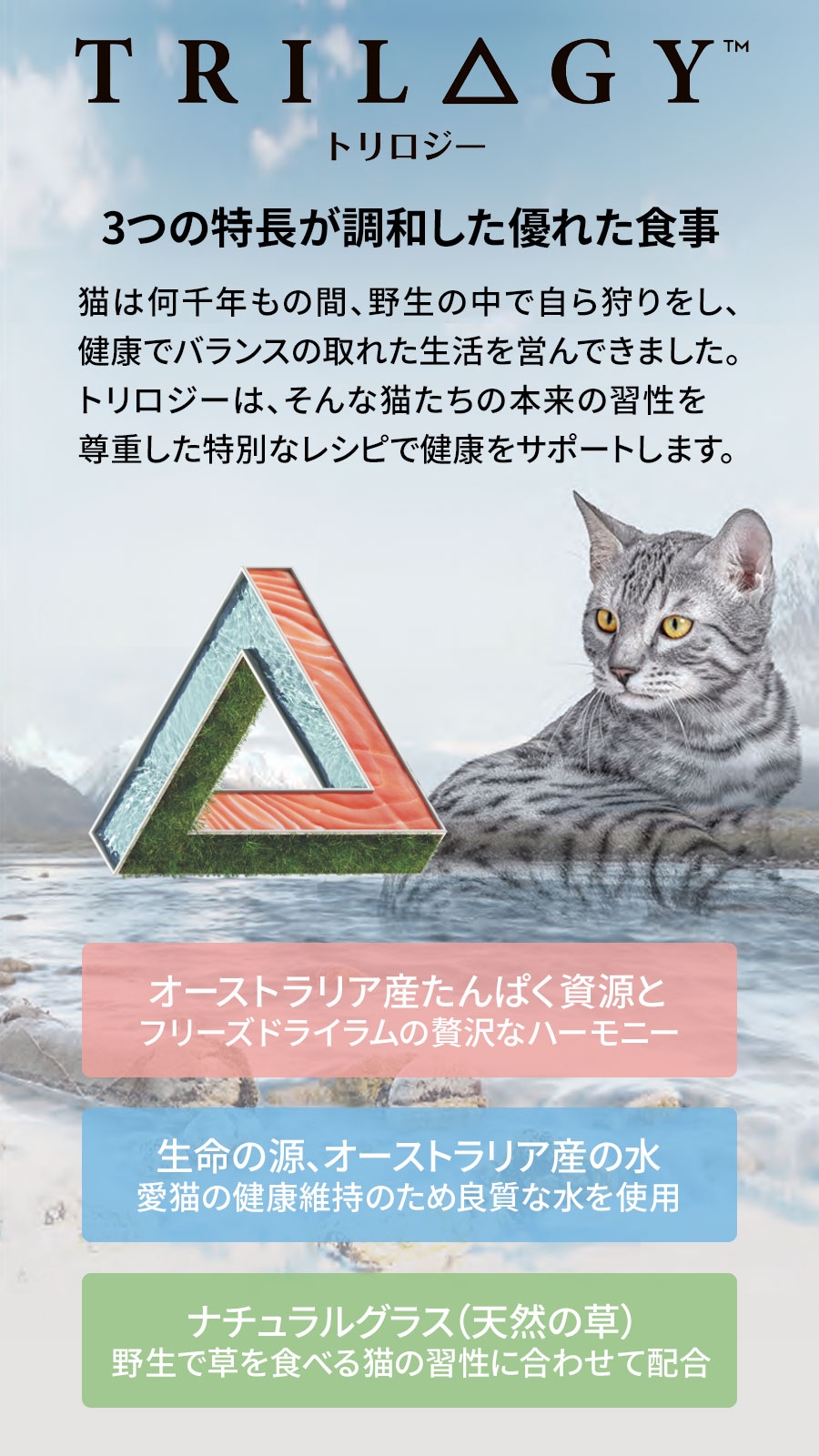 トリロジー紹介