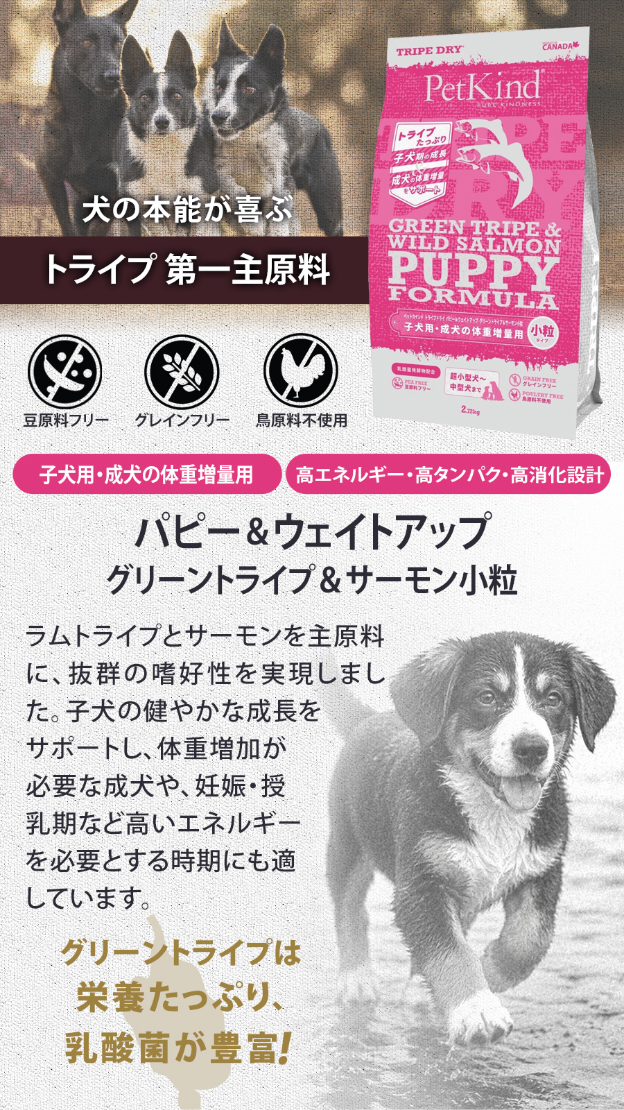 トライプドライ PetKind tripedry パピー＆ウェイトアップ グリーントライプ＆サーモン 小粒