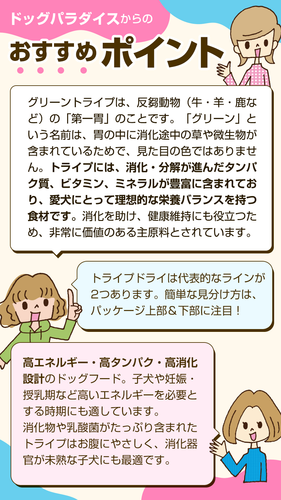 おすすめポイント