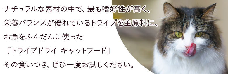 ペットカインド トライプドライ キャット グリーントライプ ハイシーズ
