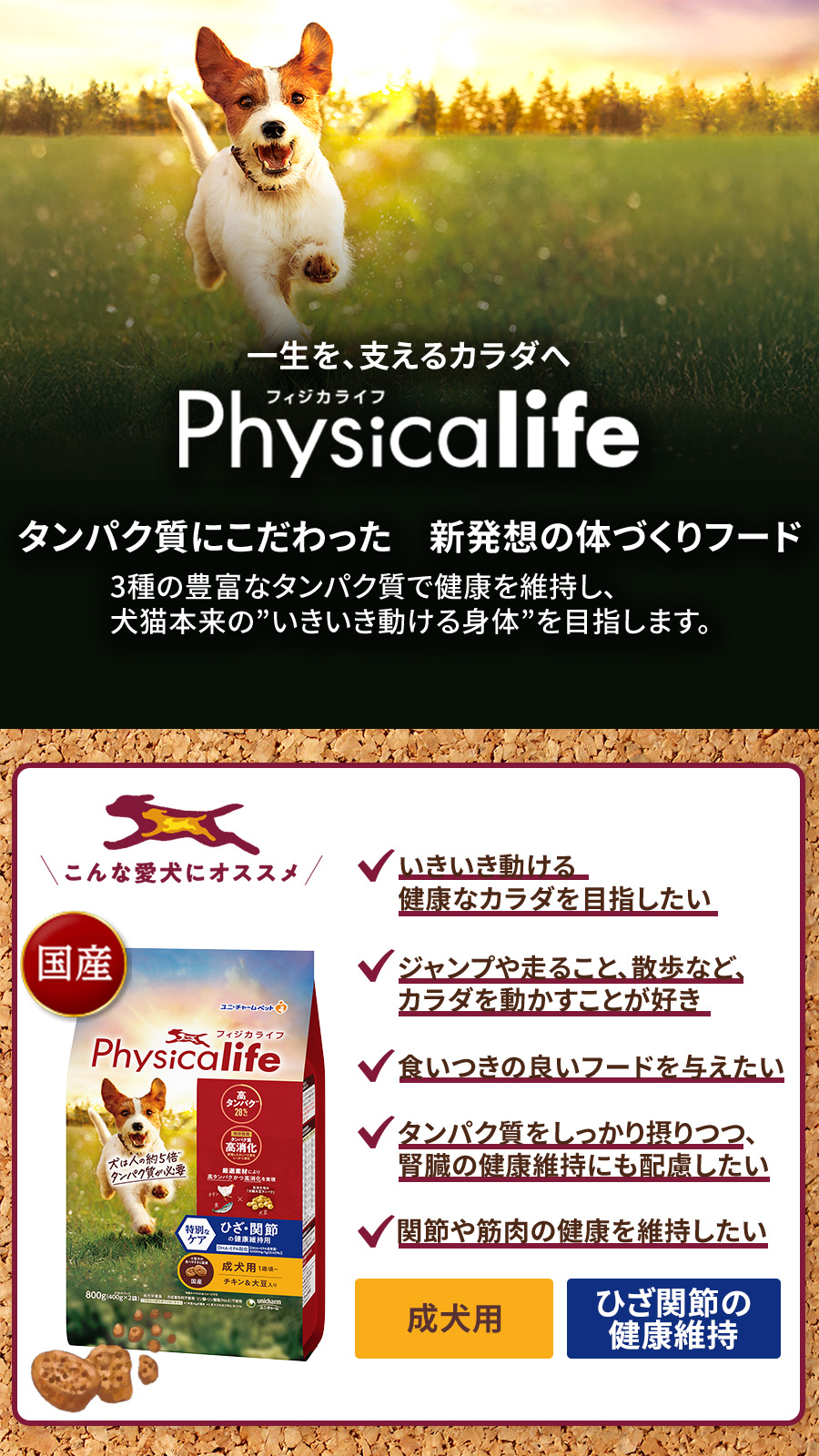 Physicalife