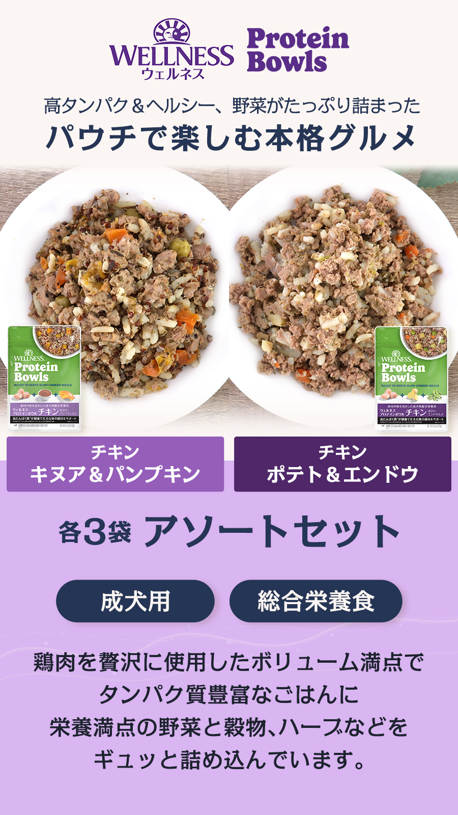ウェルネス プロテインボウル アソートセット
