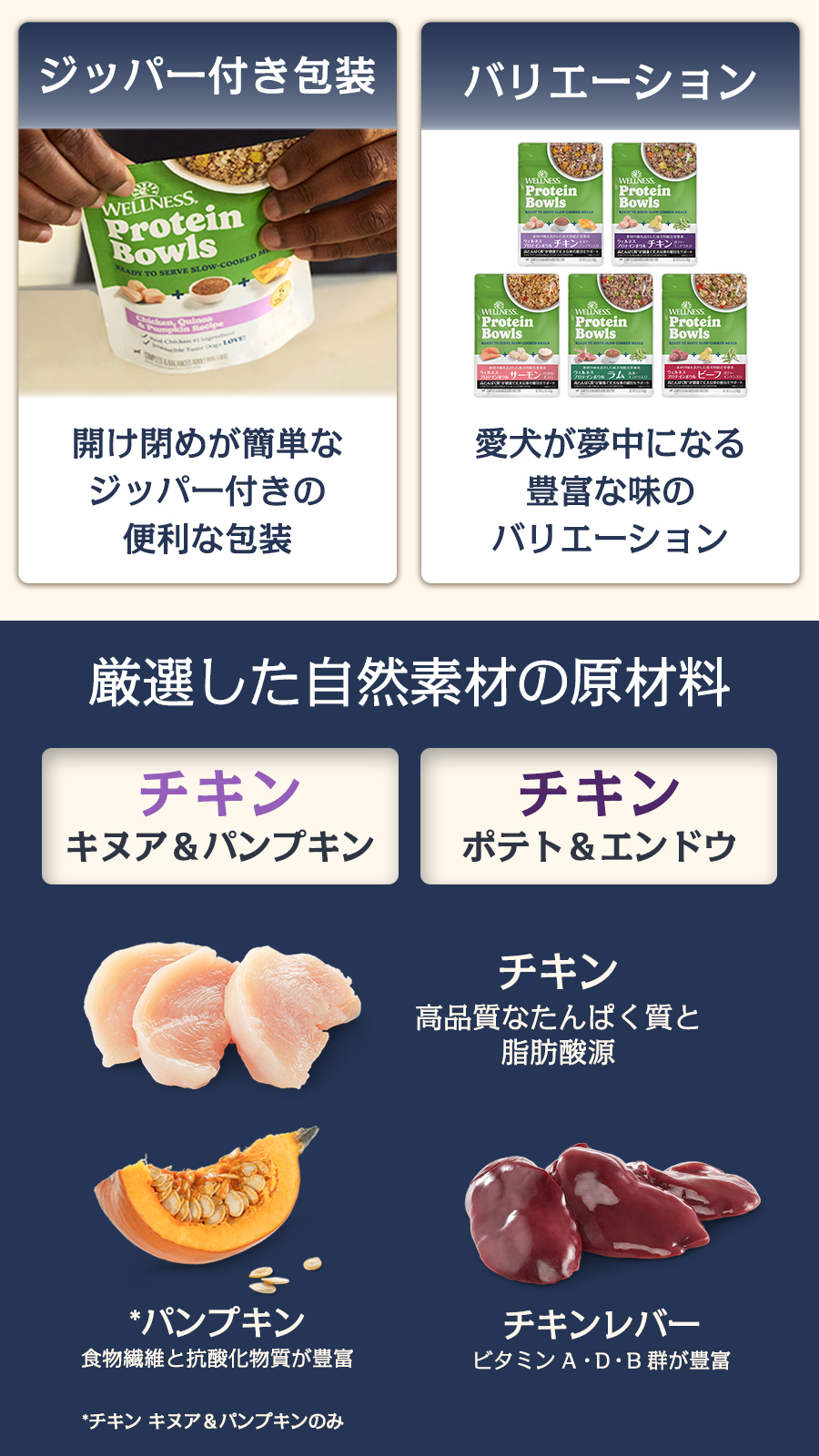 ウェルネス プロテインボウル アソートセット