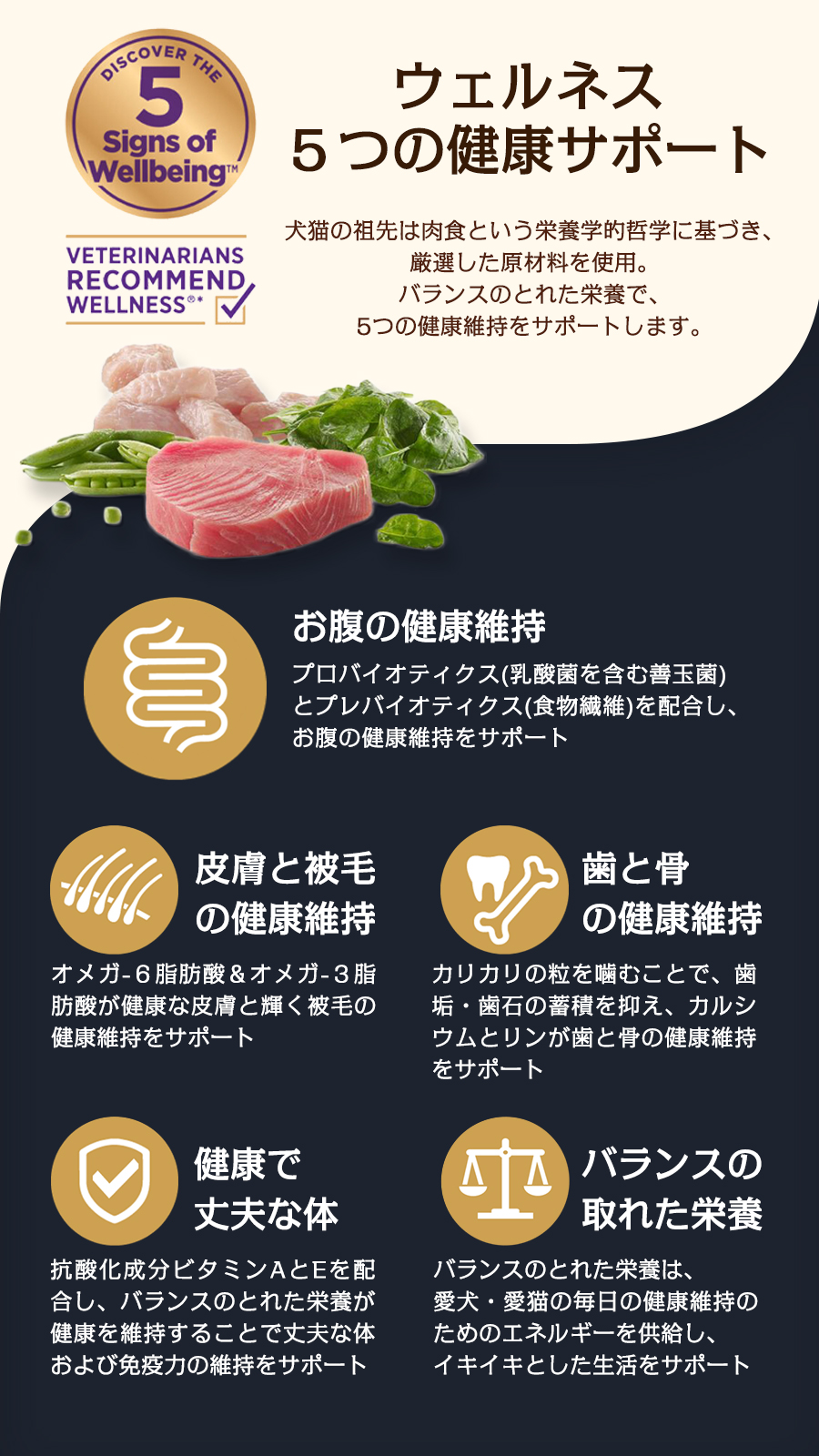 ウェルネスの特徴