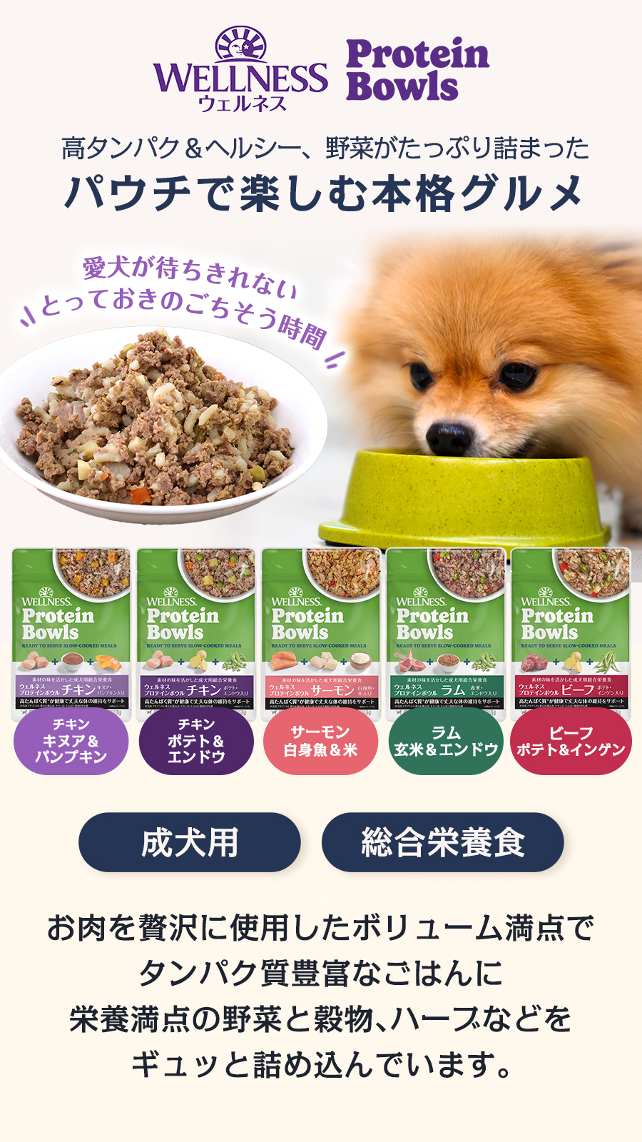 ウェルネス プロテインボウル セット