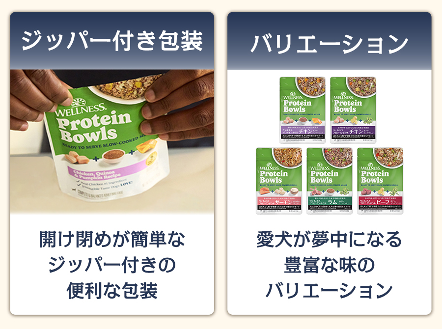 ウェルネス プロテインボウル セット