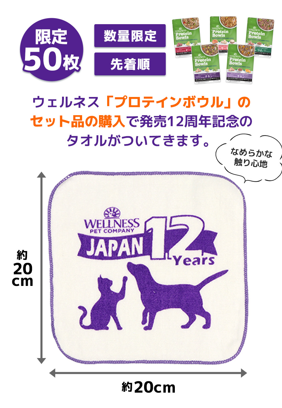 ウェルネス タオル