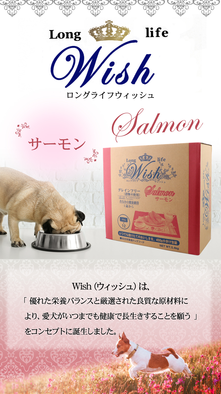 ウィッシュサーモン