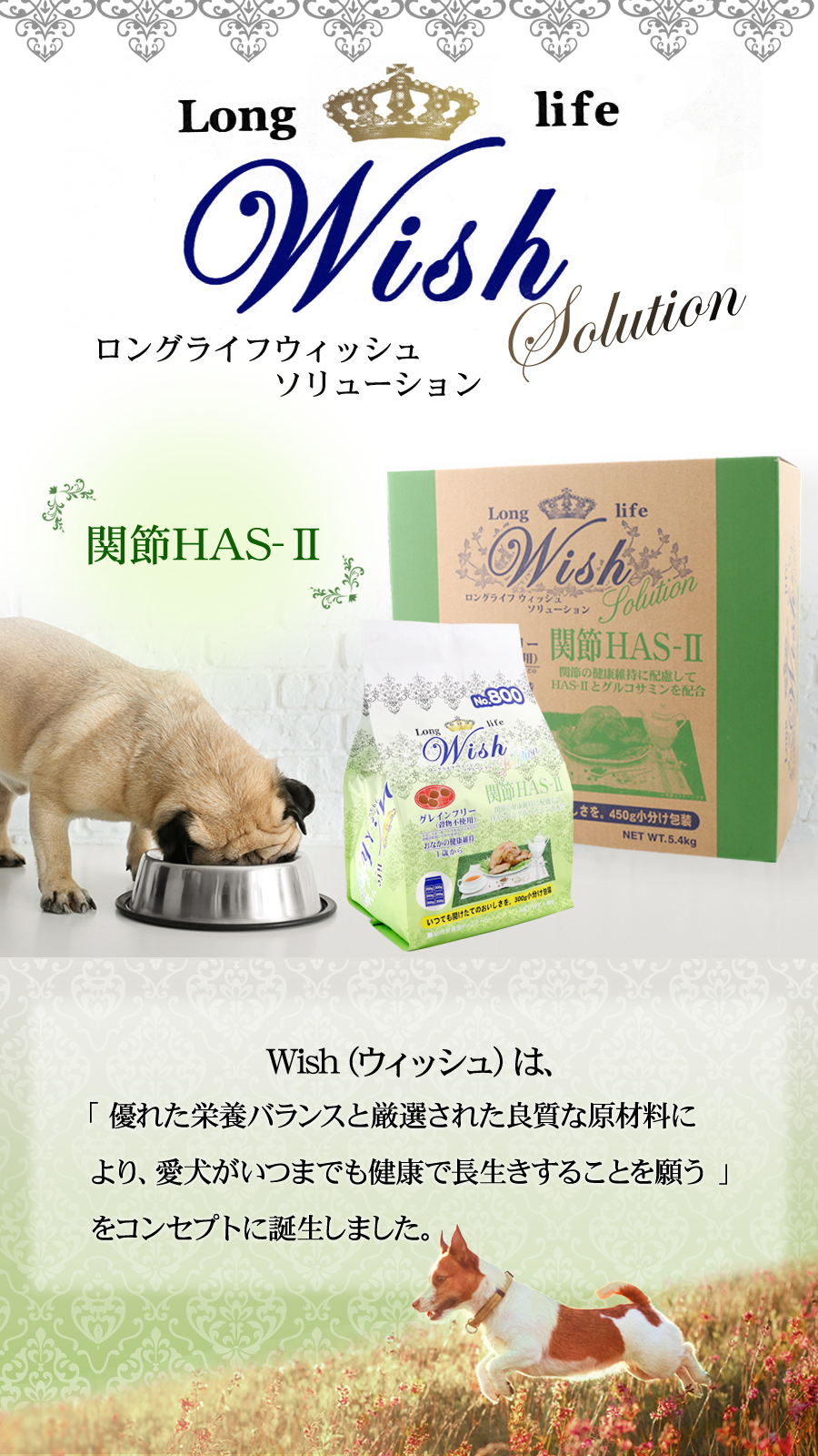 関節 HAS-2