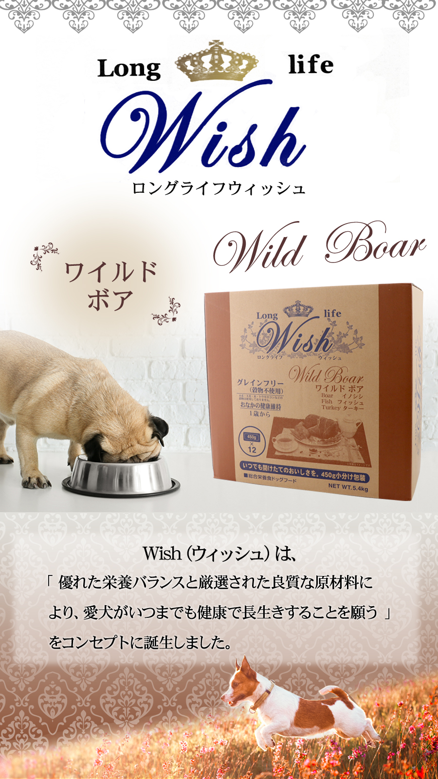 ワイルドボア