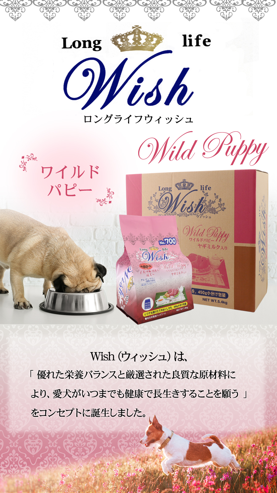 ワイルド パピー