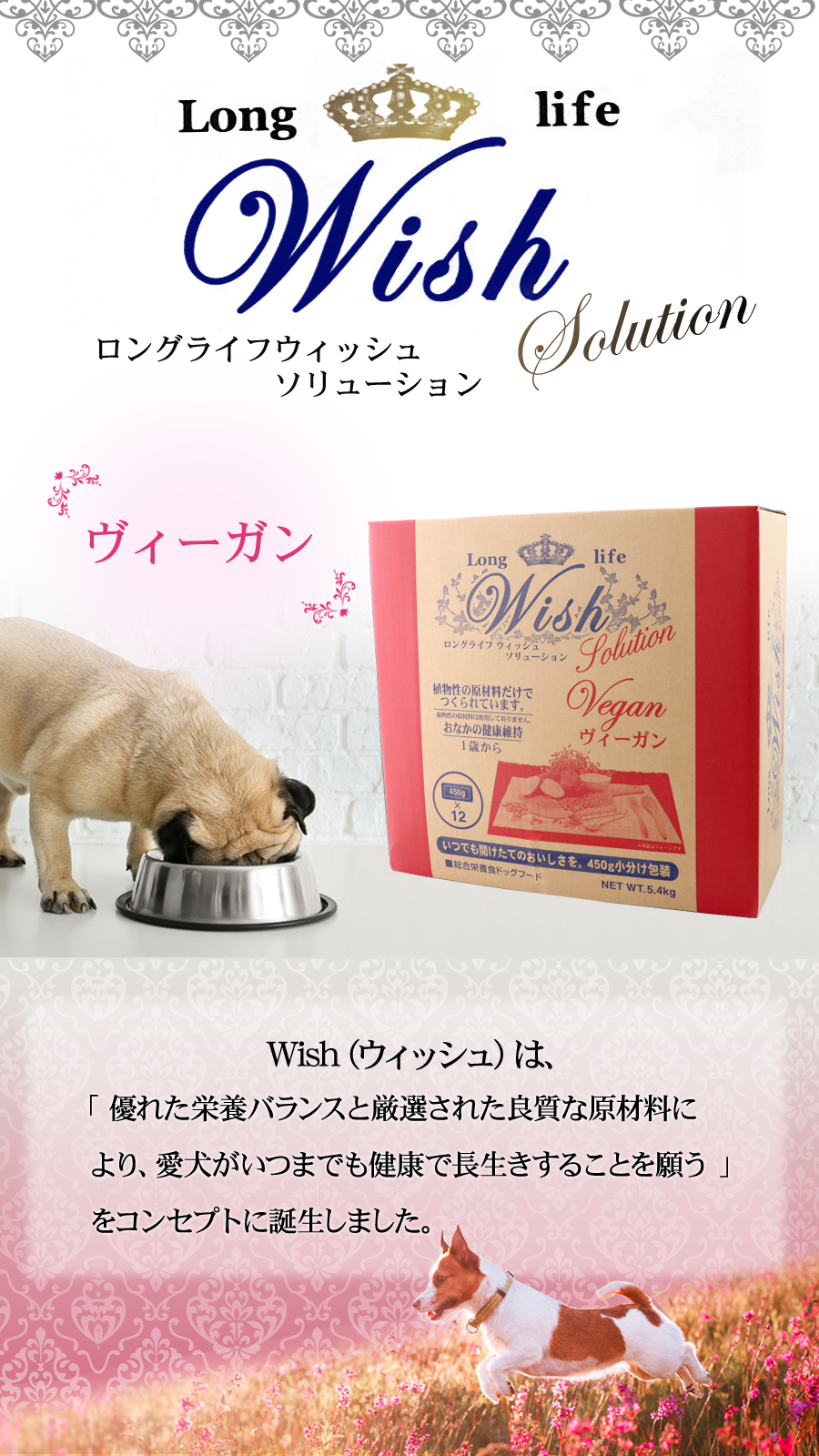 ウィッシュヴィーガン