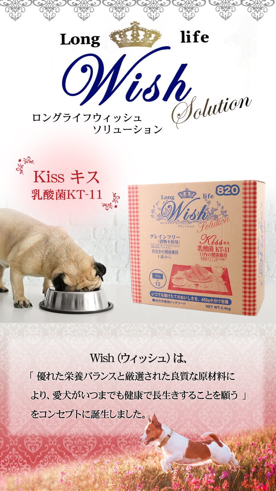 ウィッシュ ソリューション kiss