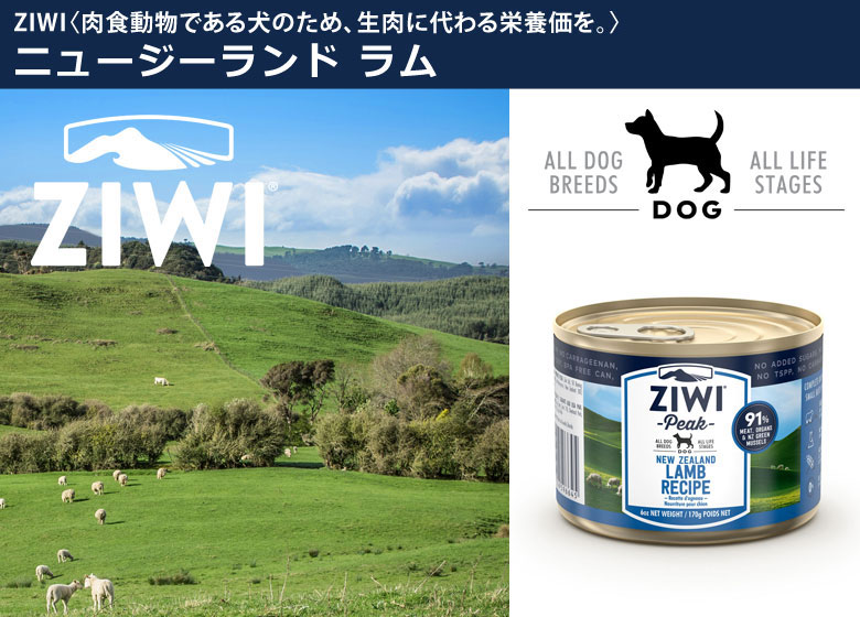  ›  › Dog Food (9421016596645)